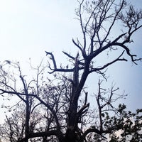 櫻花鉤吻鮭生態中心 66 Visitors