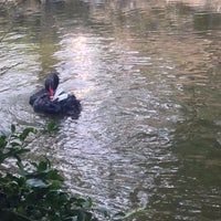 櫻花鉤吻鮭生態中心 66 Visitors