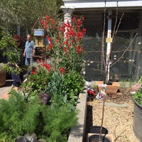 Sonoma Mission Gardens 5 Tips From 75 Visitors