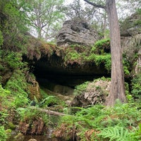Photo taken at Westcave Outdoor Discovery Center by Melanie L. on 4/22/2022