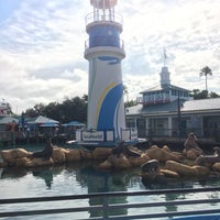 Foto scattata a SeaWorld Orlando da Mark H. il 11/13/2015