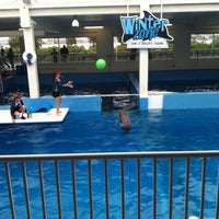 Photo taken at Clearwater Marine Aquarium by Donna A. on 5/1/2013