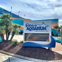 Photo taken at Ripley&amp;#39;s Aquarium by Phillip D. on 3/17/2023