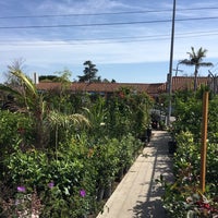 Sunset Nursery East Hollywood 4368 W Blvd Photo Taken At Sunset Nursery By Ümit T On 4 8 2018