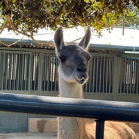 Photo taken at San Diego Zoo by Ümit T. on 10/19/2023