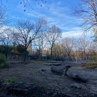 Das Foto wurde bei Saint Louis Zoo von Innchy j. am 12/4/2023 aufgenommen