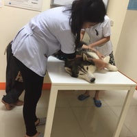Photo taken at โรงพยาบาลสัตว์พันธพัฒน์ by mm 🐻 on 10/28/2016
