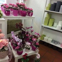 Blumen Risse Flower Store in Soest