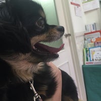 上田動物病院 中野区 東京 東京都