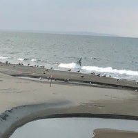 以久科原生花園 斜里町 北海道