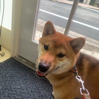 上田動物病院 中野区 東京 東京都