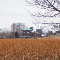 上野公園バス停 Bus Stop