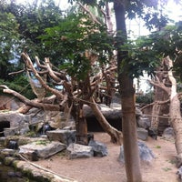 Orang Utan Haus Stellingen 213 Visitors