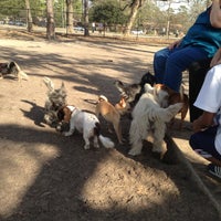 Photo taken at White Oak Bayou Dog Park by Elaine G. on 1/20/2013