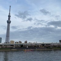 Photo taken at Sumida Park by あら on 4/11/2024