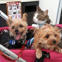 湘南台セントラル動物病院