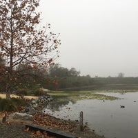 12/24/2018에 HiDe T.님이 IRWD San Joaquin Marsh &amp;amp; Wildlife Sanctuary에서 찍은 사진