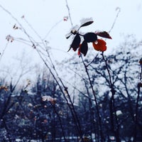 Photo taken at КДІДПМіД  ім. М.Бойчука by Lada P. on 12/12/2015