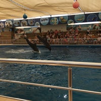 6/9/2018에 Hüseyin S.님이 Antalya Aksu Dolphinarium에서 찍은 사진