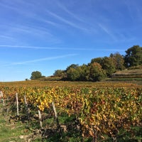 Photo taken at Château Roc de Calon by Thomas L. on 11/8/2015