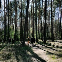 Photo taken at Ходосівський ставок by Dan S. on 4/5/2020