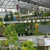 Mid City Nursery Flower In American Canyon Photo Taken At Mid City Nursery By Neil L On 9 2016