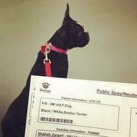 The Animal Foundation (Lied Animal Shelter) - Las Vegas, NV