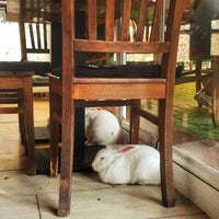 Photo taken at Holland Lop Cafe by Nesa on 9/1/2021