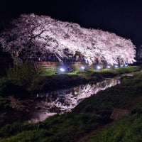 Photo taken at 野川桜ライトアップ by Shungo A. on 4/4/2019