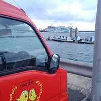 渥美魚市場 伊良湖町宮下3000 3 渥美魚市場 伊良湖町宮下3000 3