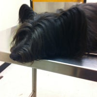 Photo taken at Banfield Pet Hospital by Katie H. on 2/2/2013