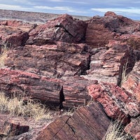 Photo taken at Petrified Forest National Park by Dmitri B. on 1/21/2024