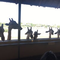 Photo taken at giraffe feeding by Sutthipas on 4/21/2019
