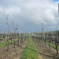 Photo taken at M &amp;amp; M Vineyards by Cache S. on 4/16/2023