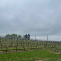 Photo taken at M &amp;amp; M Vineyards by Cache S. on 4/16/2023