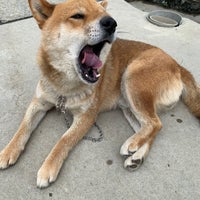 埼玉県立越谷総合技術高等学校 越谷市 埼玉県