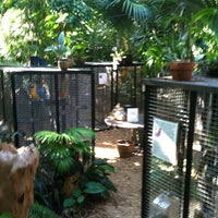 11/26/2012にKeith P.がNancy Foresters Secret Gardenで撮った写真