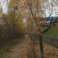 Photo taken at Озеро «Срібний кіл» by msimplym f. on 11/4/2018