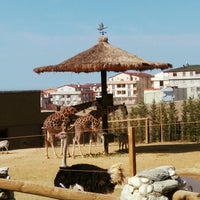 Photo taken at Faruk Yalçın Hayvanat Bahçesi by Büşra İ. on 9/17/2016