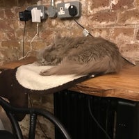 6/1/2017 tarihinde Maria H.ziyaretçi tarafından London Cat Village'de çekilen fotoğraf