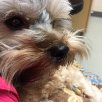 3/27/2016에 Melanie K.님이 Pilchuck Veterinary Hospital에서 찍은 사진