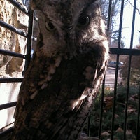 Photo taken at Ohio Bird Sanctuary by Mikki O. on 11/10/2012