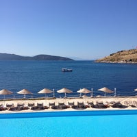 Bardakci Koyu Nu Beyazlatiyorlardi Bodrum Un Lider Haber Merkezi