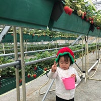 エコファームうちこ Farm