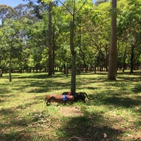 Photo taken at Parque Ecológico Vila Prudente (Profª Lydia Natalizio Diogo) by Carlos M. on 12/9/2018