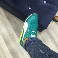 Puma