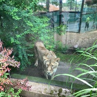 Photo taken at Zoo Ostrava by premulajz on 6/12/2020
