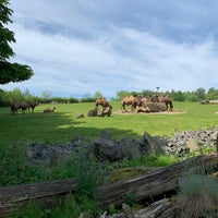 Photo taken at Zoo Ostrava by premulajz on 6/4/2021