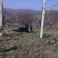 Photo taken at sibenik trsje by Amary on 3/5/2013