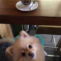 11/30/2017에 Saša님이 Caffe Leone에서 찍은 사진